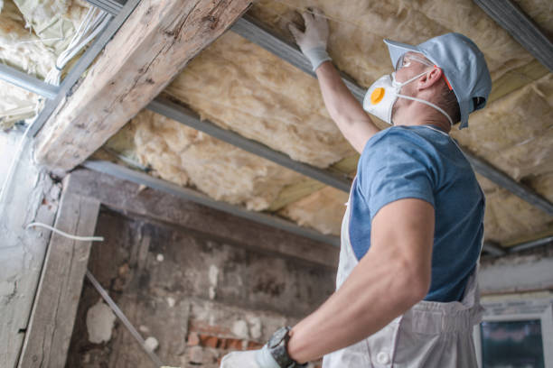 Insulation Replacement Services in Minersville, PA