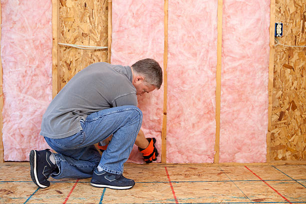 Best Insulation for New Construction  in Minersville, PA