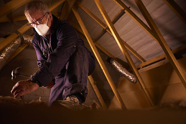 Best Best Insulation Companies  in Minersville, PA