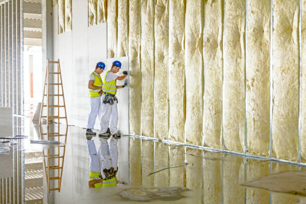 Best Local Insulation Services  in Minersville, PA